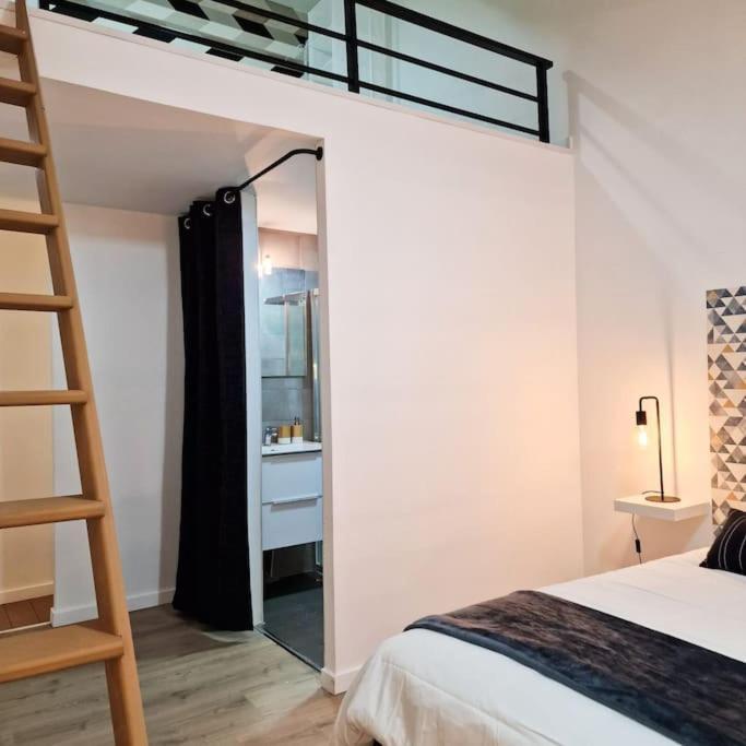 דירות סן-אטיין Grand Loft Avec Terrasse Privee מראה חיצוני תמונה